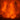 Wildfire Natural Disaster