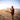 Farm_Walkie_Talkie