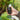Poclink Radios - Globalwide Unlimited Range Walkie Talkie - Poclink Radios