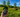 A Poclink Ultra Review - How Farm Coordinates 800 Acres With One Button Push