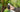 Wireless Walkie Talkies Guide Best Internet Radios 2025 - Poclink Radios