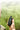 Poclink Homepage Top Banner Mobile