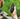 Talk instantly with Poclink Radios