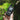 poclink-globalwide-long-range-walkie-talkie-w-type-c-charging-4g